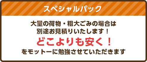 スペシャルパック